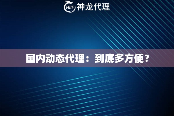 国内动态代理：到底多方便？