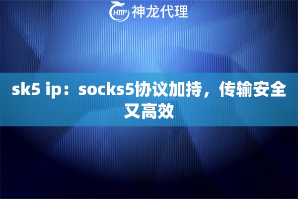 sk5 ip：socks5协议加持，传输安全又高效