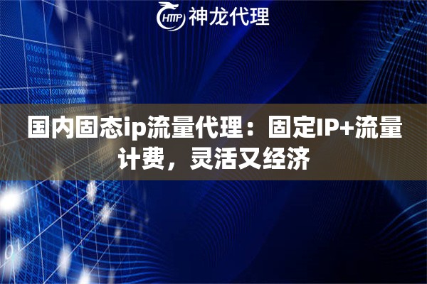 国内固态ip流量代理：固定IP+流量计费，灵活又经济