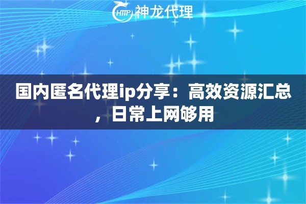 国内匿名代理ip分享：高效资源汇总，日常上网够用