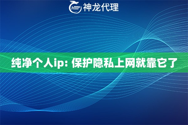 纯净个人ip: 保护隐私上网就靠它了