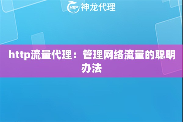 http流量代理：管理网络流量的聪明办法