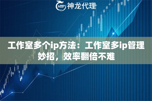 工作室多个ip方法：工作室多ip管理妙招，效率翻倍不难