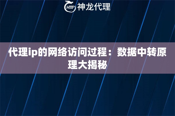 代理ip的网络访问过程：数据中转原理大揭秘