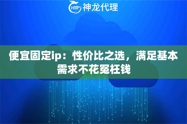 便宜固定ip：性价比之选，满足基本需求不花冤枉钱