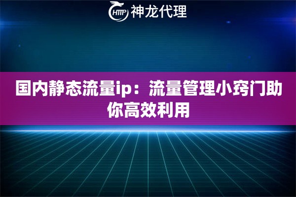 国内静态流量ip：流量管理小窍门助你高效利用