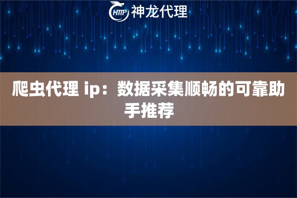 爬虫代理 ip：数据采集顺畅的可靠助手推荐