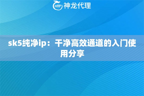 sk5纯净ip：干净高效通道的入门使用分享