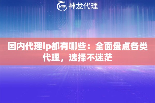 国内代理ip都有哪些：全面盘点各类代理，选择不迷茫