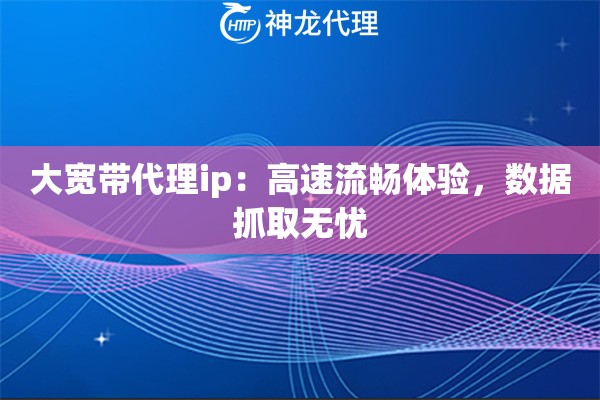 大宽带代理ip：高速流畅体验，数据抓取无忧