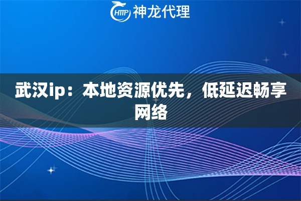 武汉ip：本地资源优先，低延迟畅享网络