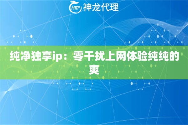 纯净独享ip：零干扰上网体验纯纯的爽