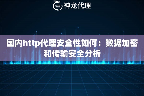 国内http代理安全性如何：数据加密和传输安全分析