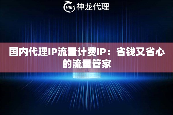 国内代理IP流量计费IP:省钱又省心的流量管家 国内代理IP流量计费IP:省钱又省心的流量管家