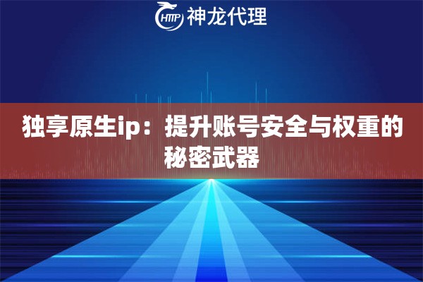 独享原生ip:提升账号安全与权重的秘密武器 独享原生ip:提升账号安全与权重的秘密武器