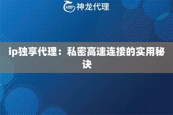 ip独享代理：私密高速连接的实用秘诀