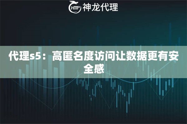 代理s5：高匿名度访问让数据更有安全感