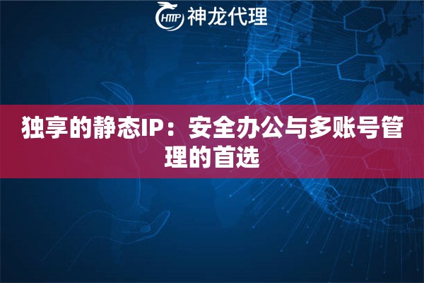 独享的静态IP：安全办公与多账号管理的首选