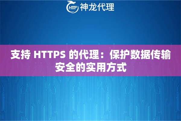 支持 HTTPS 的代理：保护数据传输安全的实用方式