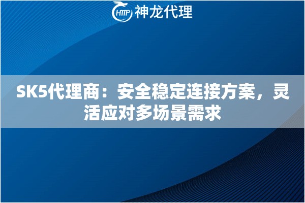 SK5代理商:安全稳定连接方案,灵活应对多场景需求 SK5代理商:安全稳定连接方案,灵活应对多场景需求