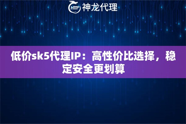 低价sk5代理IP：高性价比选择，稳定安全更划算