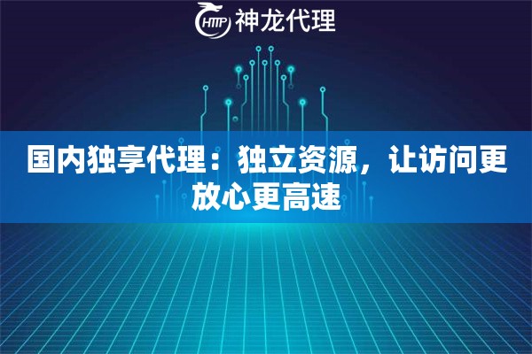 国内独享代理：独立资源，让访问更放心更高速