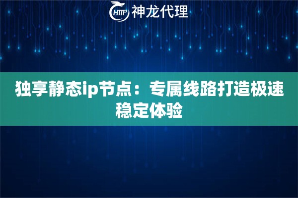 独享静态ip节点：专属线路打造极速稳定体验