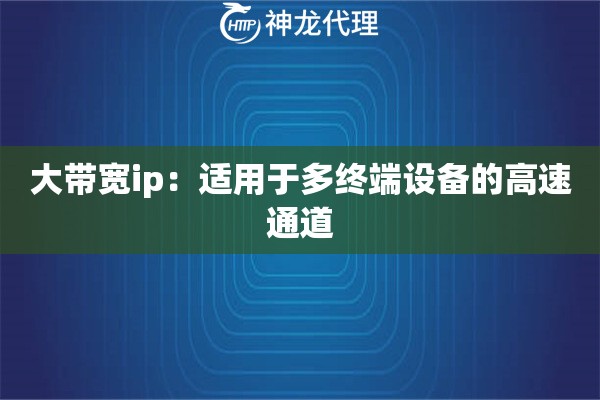 详细阅读:大带宽ip:适用于多终端设备的高速通道 大带宽ip:适用于多终端设备的高速通道