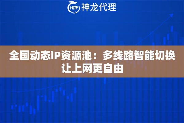 全国动态iP资源池：多线路智能切换让上网更自由