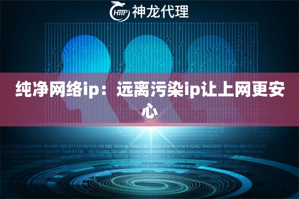 纯净网络ip:远离污染ip让上网更安心 纯净网络ip:远离污染ip让上网更安心