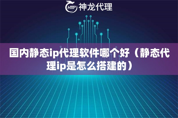 国内静态ip代理软件哪个好（静态代理ip是怎么搭建的）