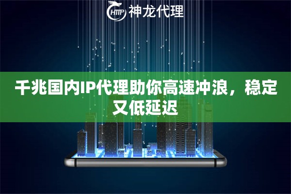 千兆国内IP代理助你高速冲浪,稳定又低延迟 千兆国内IP代理助你高速冲浪,稳定又低延迟