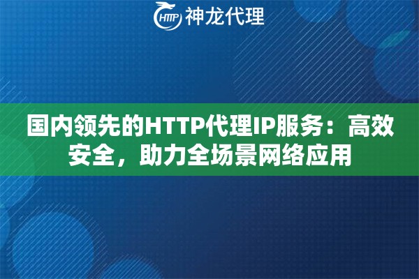 国内领先的HTTP代理IP服务：高效安全，助力全场景网络应用