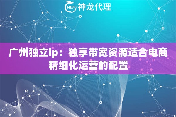 广州独立ip：独享带宽资源适合电商精细化运营的配置