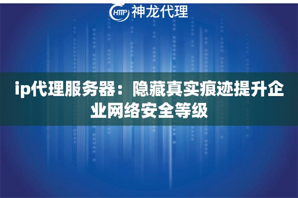 ip代理服务器：隐藏真实痕迹提升企业网络安全等级