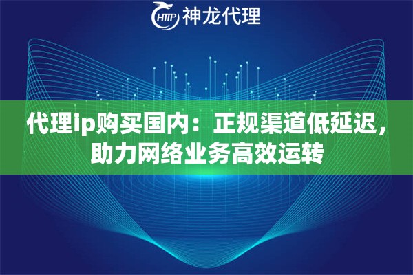 代理ip购买国内：正规渠道低延迟，助力网络业务高效运转