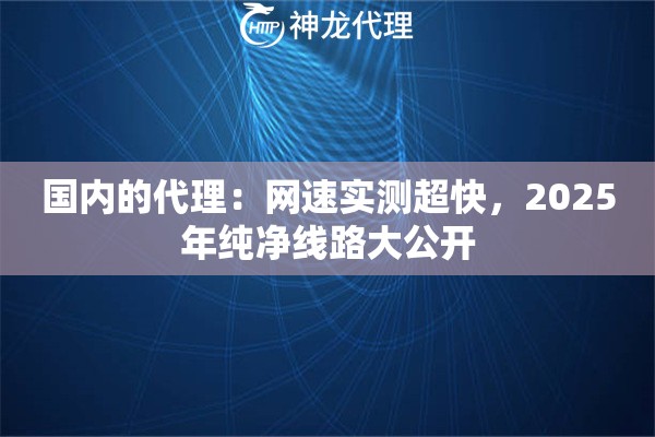 国内的代理：网速实测超快，2025年纯净线路大公开