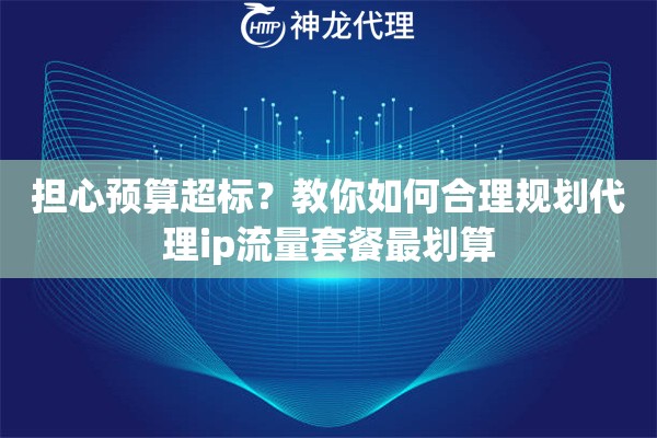 担心预算超标？教你如何合理规划代理ip流量套餐最划算