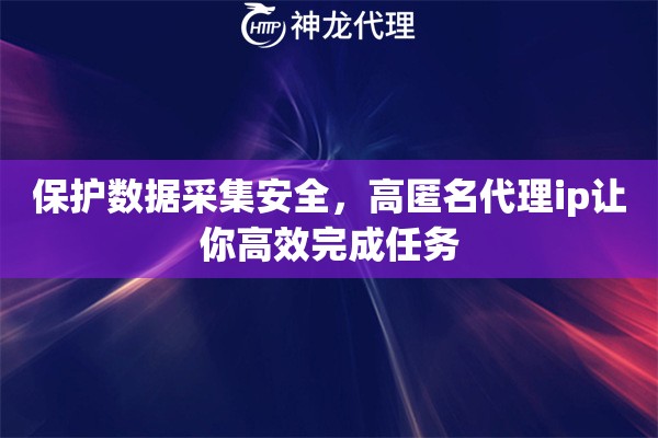 保护数据采集安全，高匿名代理ip让你高效完成任务
