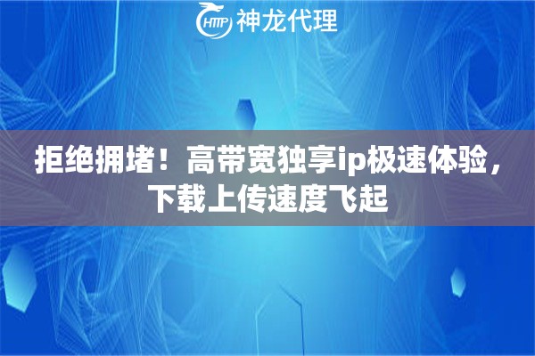 拒绝拥堵！高带宽独享ip极速体验，下载上传速度飞起