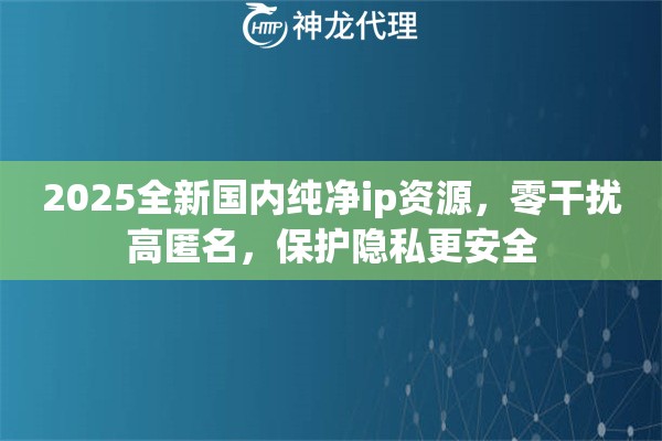 2025全新国内纯净ip资源，零干扰高匿名，保护隐私更安全