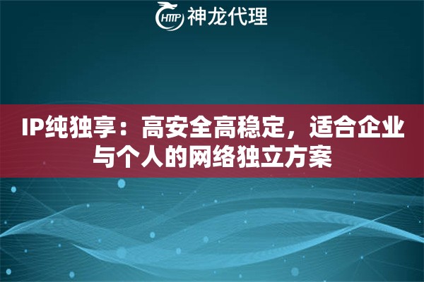 IP纯独享：高安全高稳定，适合企业与个人的网络独立方案