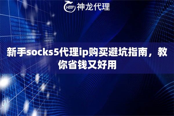 新手socks5代理ip购买避坑指南，教你省钱又好用