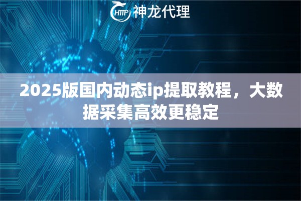 2025版国内动态ip提取教程，大数据采集高效更稳定