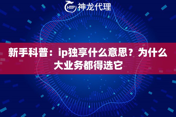 新手科普：ip独享什么意思？为什么大业务都得选它