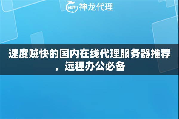速度贼快的国内在线代理服务器推荐，远程办公必备