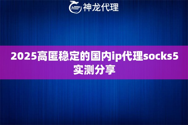 2025高匿稳定的国内ip代理socks5实测分享