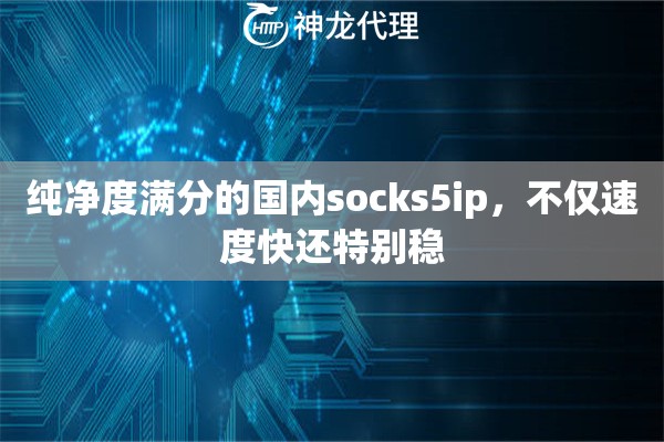 纯净度满分的国内socks5ip，不仅速度快还特别稳