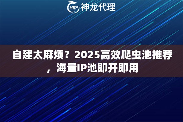 自建太麻烦？2025高效爬虫池推荐，海量IP池即开即用
