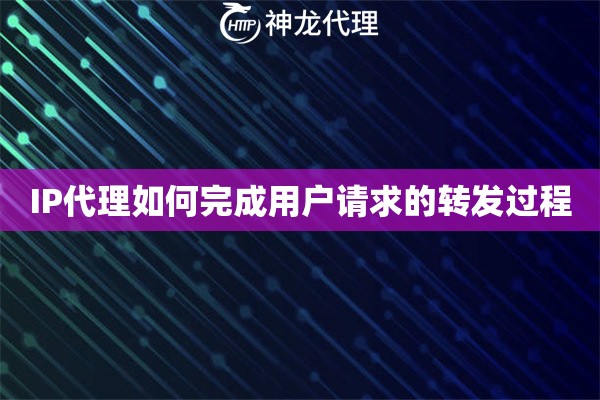 IP代理如何完成用户请求的转发过程